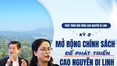 Pembangunan Lestari Dataran Tinggi Di Linh: Bahagian 2 - Memperluas Dasar untuk Pembangunan Dataran Tinggi Di Linh