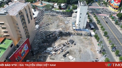 Ho Chi Minh City: Proposal to use 9 prime land plots for Tet flower gardens.