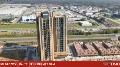 Loopholes in the approval process have led to the illegal buying up and reselling of social housing.