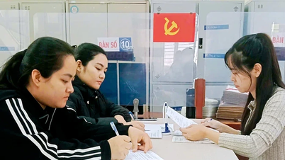 Arbeitsvermittlungszentrum Vinh Phuc – Eine Brücke zum Arbeitsmarkt