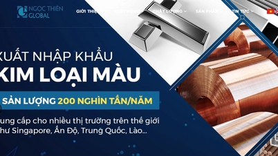 Nepravidelná emise dluhopisů společností Ngoc Thien Global vedla k trestnímu stíhání jejího generálního ředitele.