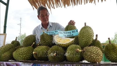 Kebolehkesanan: Perisai pelindung untuk barangan eksport Vietnam.