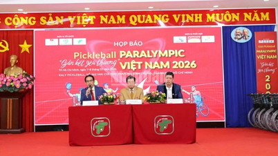 Vietnam Paralympic Pickleball Tournament: Connecting hearts and spreading the spirit of inclusive sportsmanship.