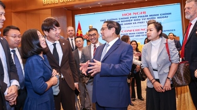 Government communication in the eyes of foreign organizations and investors.