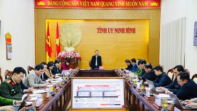 Ninh Binh analiza estrategias innovadoras para la innovación y la transformación digital.