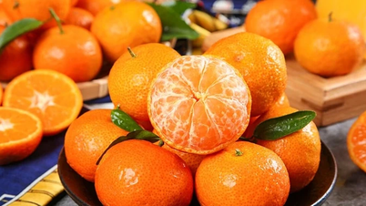 قیمت‌های بازار از ۱۰ ژانویه ۲۰۲۶
