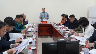 Phuong Duc: Concentrando-se na resolução de problemas de aquisição de terras para o projeto da Rodovia Provincial 429, a fim de garantir a conclusão dentro do prazo.