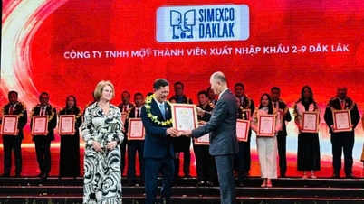Simexco DakLak er en av de 500 største bedriftene i Vietnam innen 2025.