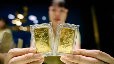 במהלך סוף השבוע, מחירי הזהב המקומיים המשיכו לעלות, והתקרבו לרף של 160 מיליון דונג וייט לאונקיה.