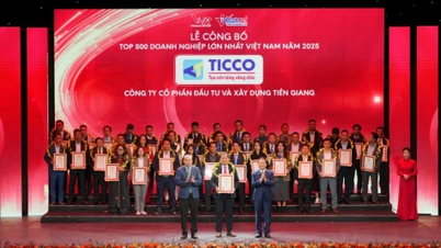 TICCO wordt nog steeds erkend als een van de 500 grootste particuliere ondernemingen in Vietnam.