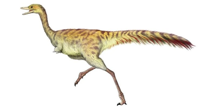 Oppdag Linhenykus: En liten dinosaur med unike egenskaper.