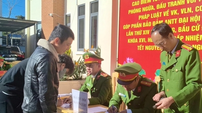 Da Lat şehrinin Lam Vien Mahallesi, silah ve patlayıcıları ele geçirmek için bir kampanya başlattı.