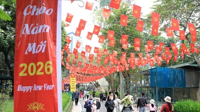 Hanoi zet zich in om de markt te stabiliseren en het welzijn van de bevolking tijdens het Tet-festival te waarborgen.