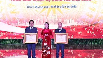 새로운 환경에 맞춰 전문적이고, 인간미 넘치며, 현대적인 언론사를 구축합니다.