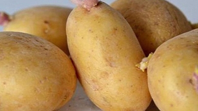 Опасные продукты, которые могут вызвать пищевое отравление, о которых вам необходимо знать.