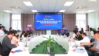 มหาวิทยาลัยแปซิฟิกจะเปิดหลักสูตรปริญญาโท 2 สาขา ในภาคการศึกษาที่สามของปี 2025