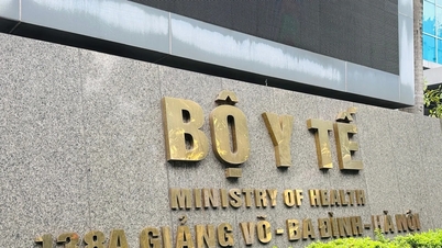 Bylo požádáno o vyšetřování případu dvou lidí, kteří v Ninh Binh upadli do kómatu po požití semínek jikamy.