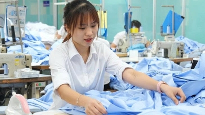 การปรับขึ้นค่าแรงขั้นต่ำและเงินสมทบประกันสังคม (ประกันสุขภาพ ประกันการว่างงาน) จะมีผลบังคับใช้ตั้งแต่ปี 2026 เป็นต้นไป