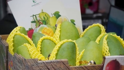 Las exportaciones de frutas y verduras alcanzaron un récord de casi 8.600 millones de dólares.