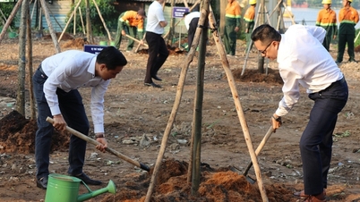 Ho Chi Minh-staden lanserar trädplanteringskampanj på Vietnams gröna dag