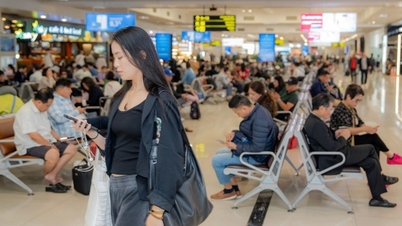 Noi Bai lufthavn forventes å ønske et stort antall passasjerer velkommen i løpet av nyttårsferien i 2026.