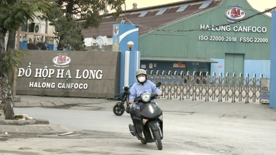 The Coffee House thông báo dừng bán trà vải liên quan Đồ hộp Hạ Long