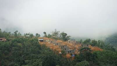 Quang Trung-kampanjen i Da Nang: A Rapid "Rebirth"