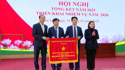 Commune de Hai Luu : Le revenu moyen par habitant atteint 65,5 millions de VND.