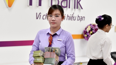 TPBank podejmuje nowy krok w Tien Phong Securities.