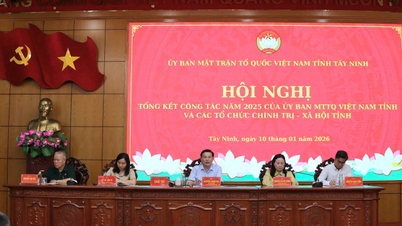 Vietnams fosterlandsfront i Tay Ninh-provinsen spelar en central roll och fungerar som ett centrum för nationell enhet och bidrar till byggandet och utvecklingen av Tay Ninh-provinsen.