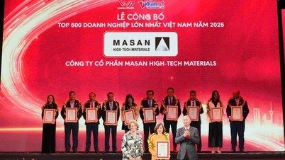 A Masan High-Tech Materials foi homenageada como uma das 500 maiores empresas do Vietnã em 2025.