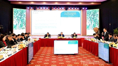 ২০২১-২০৩০ সময়কালের জন্য প্রাদেশিক পরিকল্পনা সমন্বয়, ২০৫০ সালের জন্য একটি দৃষ্টিভঙ্গি নিয়ে পরামর্শ কর্মশালা।