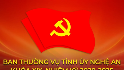 ৫টি আর্থ-সামাজিক লক্ষ্য পূরণে ব্যর্থ হলে প্রতিষ্ঠানের প্রধানকে বরখাস্ত করা।