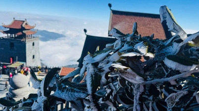 Frost bedeckt den Gipfel des Fansipan, des „Dachs von Indochina“, und schafft so ein atemberaubend schönes Bild.
