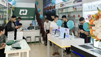 Ngành hàng công nghệ thắng lớn khi 'lên sàn'