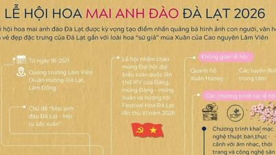 Thông tin về Lễ hội hoa mai anh đào Đà Lạt năm 2026