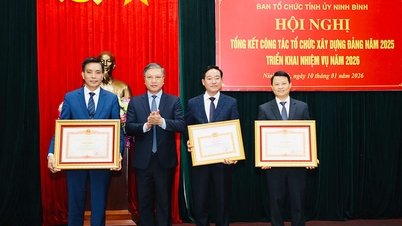 Organizační oddělení provinčního výboru strany realizuje plán budování a organizace strany na rok 2026.