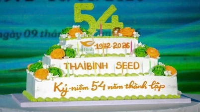 ThaiBinh Seed อายุ 54 ปี: บุคลิกแข็งแกร่ง ก้าวหน้าอย่างมั่นคง