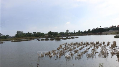 উজ্জ্বল ভবিষ্যতের জন্য বিশ্বাস এবং আশা জাগিয়ে তুলুন।