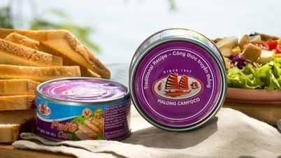 มีการเปิดเผยกระบวนการผลิตเนื้อกระป๋องและไส้กรอกของบริษัท Ha Long Canned Food Company