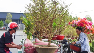 Ngọn đèn đánh thức mùa đoàn viên