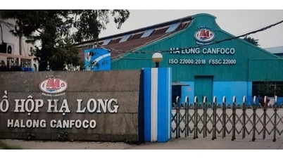 Der Generaldirektor der Ha Long Canned Food Joint Stock Company wurde umgehend verhaftet.