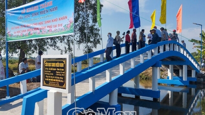 Güney Vietnamlı öğrenciler tarafından inşa edilen 14. köprü hizmete açıldı.