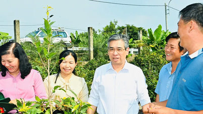 農業生産とエコツーリズムおよび環境保護を結び付ける。