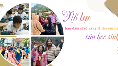 កិច្ចខិតខំប្រឹងប្រែងដើម្បីធានាបាននូវអត្រាចូលរៀន និងការចូលរួមរបស់សិស្ស។