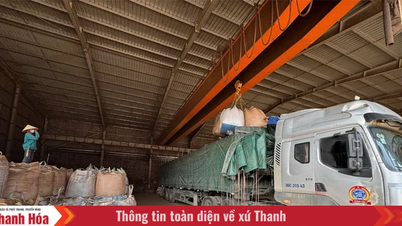 Thach Quang entwickelt Industrien und Dienstleistungen.