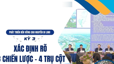 Сталий розвиток плато Ді Лінь: Частина 3 - Чітке визначення трьох стратегій та чотирьох стовпів