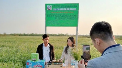 Chuyển đổi số giúp sản phẩm OCOP mở rộng thị trường