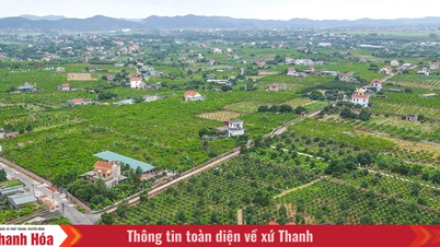 Tháo gỡ vướng mắc các dự án đất đai và triển khai Chương trình mục tiêu quốc gia