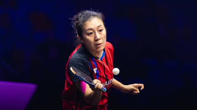 卓球界のセンセーション：42歳の選手が中国のトップ選手たちを次々と破る。